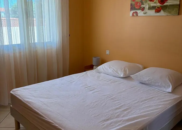 Avec Piscine A 6 Min Du Port Saint-cyprien * Saint-Cyprien (Pyrenees-Orientales)